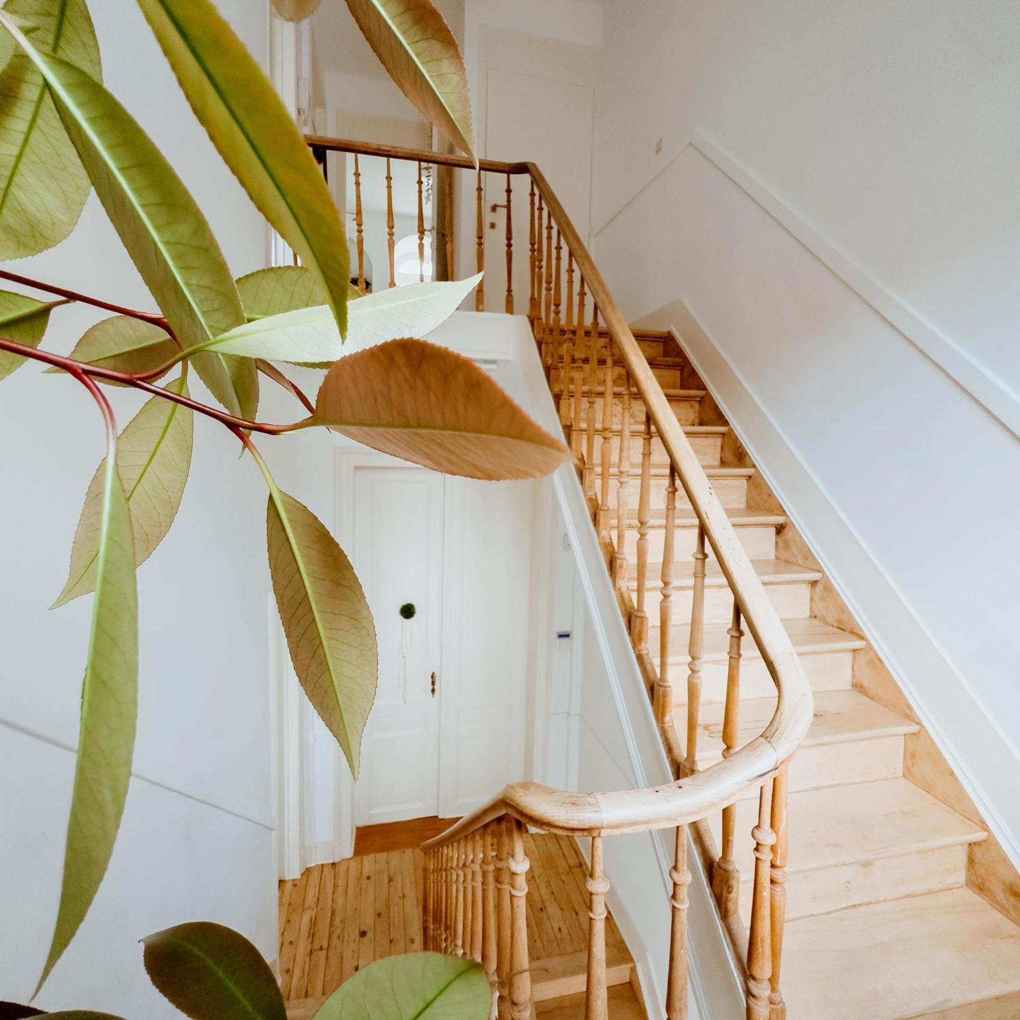Ambiorix Residence 布鲁塞尔 外观 照片